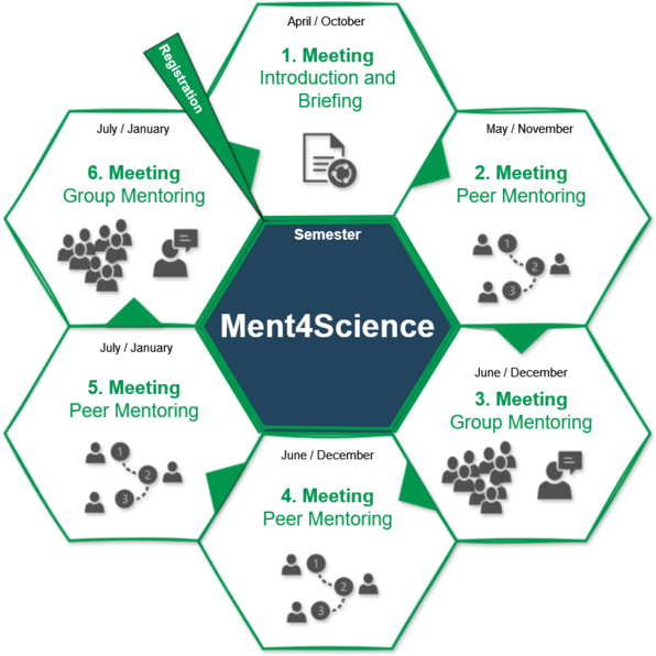 The pie chart visualizes the progression of the Ment4Science program. It shows the total of six meetings of peer and group mentoring that are planned for the mentees throughout the semester.